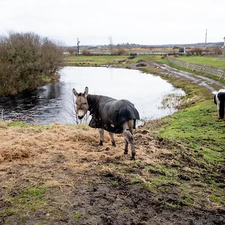 Holiday home Beautiful Coastal House At The Drowes Rivermouth