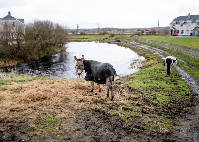 度假居 Beautiful Coastal House At The Drowes Rivermouth